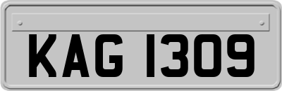 KAG1309