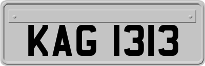 KAG1313