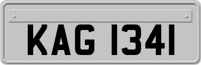 KAG1341