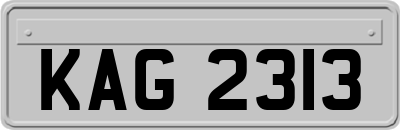 KAG2313