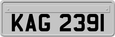 KAG2391