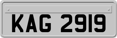 KAG2919