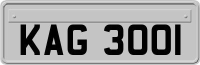 KAG3001