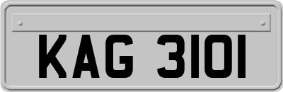 KAG3101
