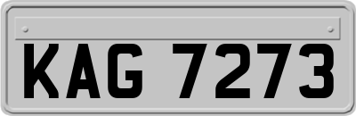 KAG7273