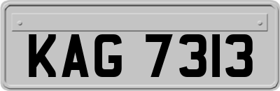 KAG7313