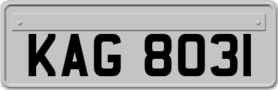 KAG8031