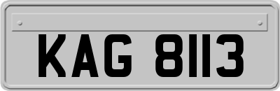 KAG8113