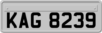 KAG8239
