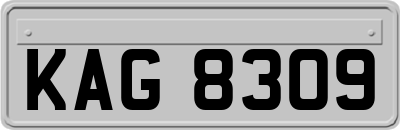 KAG8309