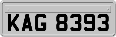 KAG8393