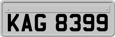 KAG8399