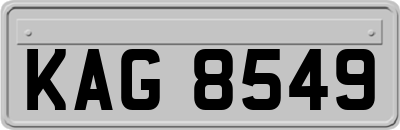 KAG8549