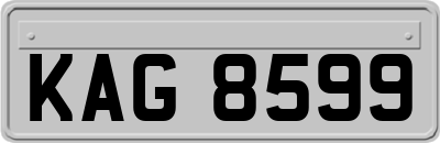 KAG8599