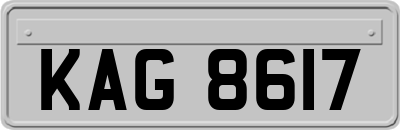 KAG8617