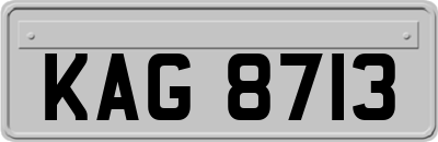 KAG8713