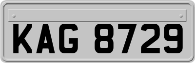 KAG8729