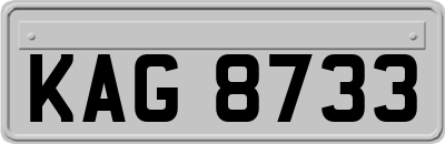 KAG8733