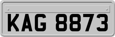 KAG8873