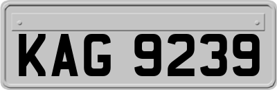 KAG9239