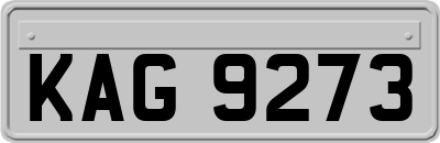 KAG9273