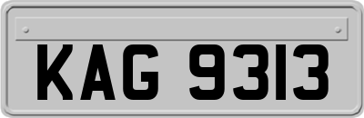 KAG9313
