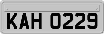 KAH0229