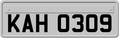 KAH0309