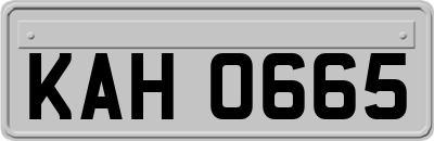 KAH0665
