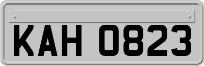 KAH0823