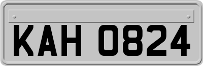 KAH0824