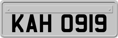 KAH0919