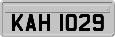 KAH1029