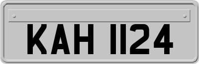 KAH1124