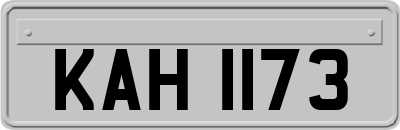 KAH1173