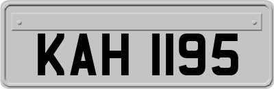 KAH1195