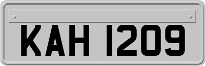 KAH1209