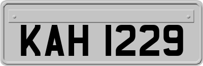 KAH1229