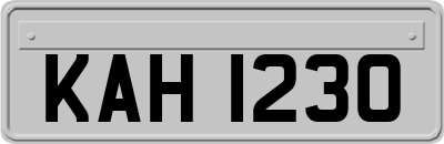 KAH1230
