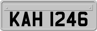 KAH1246