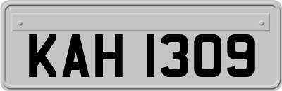 KAH1309