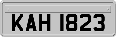KAH1823
