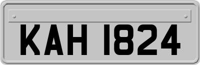 KAH1824