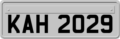 KAH2029