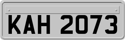 KAH2073