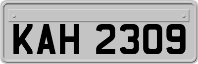 KAH2309