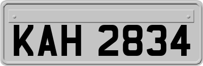 KAH2834