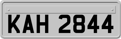 KAH2844