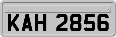 KAH2856