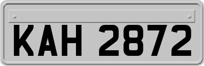 KAH2872